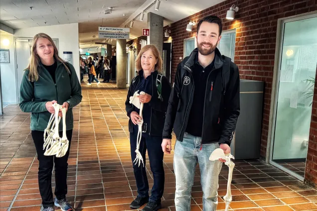 Tre personer med skelettdelar av plast. Foto.