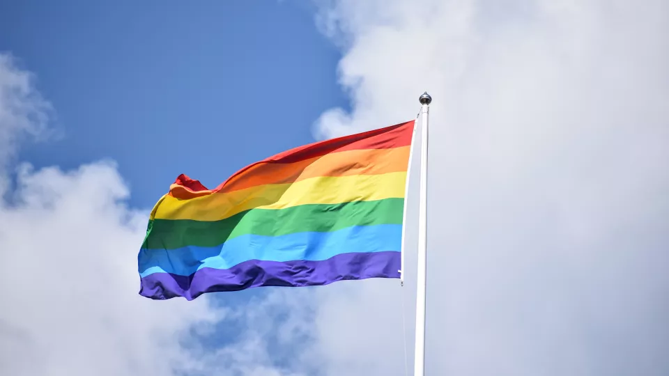 Rainbow flag. Photo.