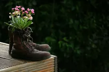Flowers i boots. Photo.