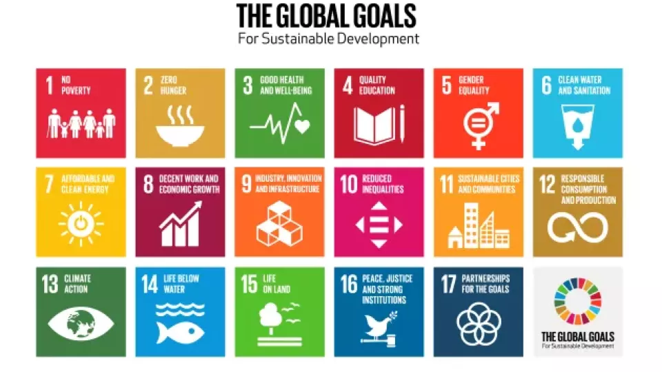 Färgstarka ikoner som visar FN:s 17 globala mål. Illustration.