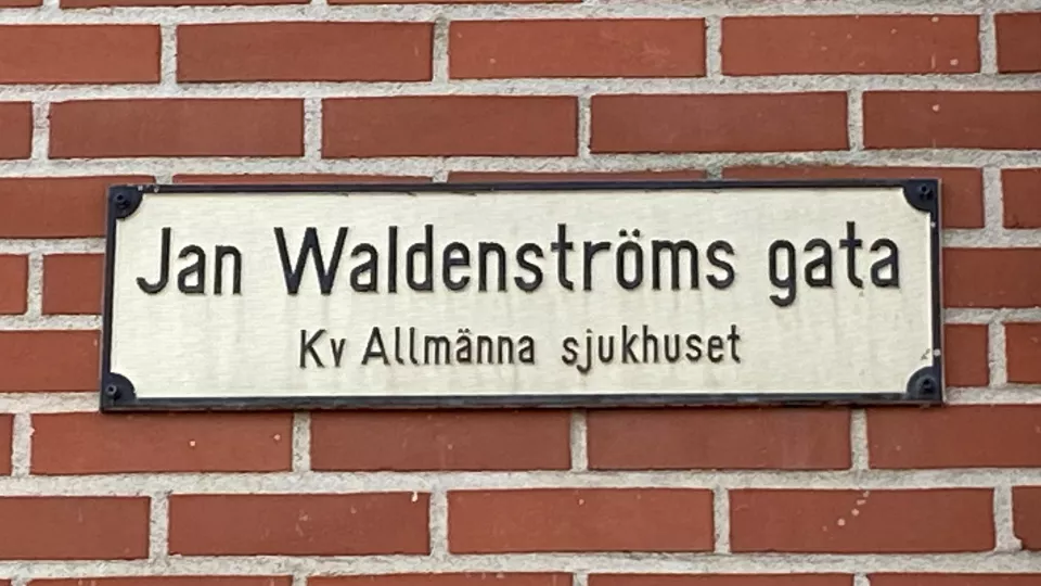 Gatuskylt med texten Jan Waldenstöms gata. Foto.