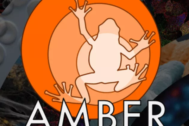 Groda i orange cirkel. Logga för Amber. Illustration. 