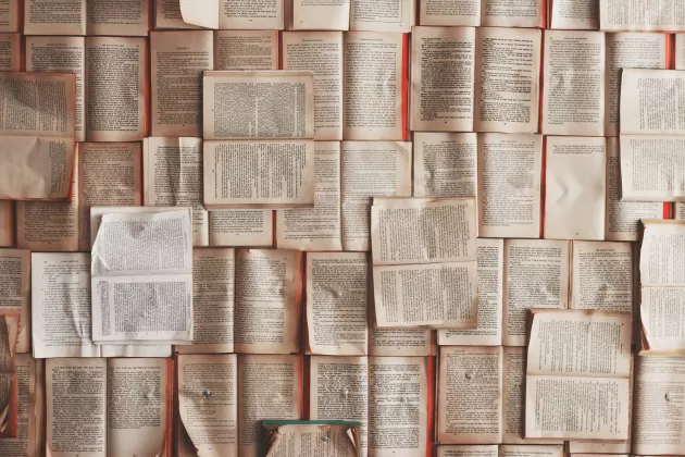 Uppslagna böcker uppspikade på en vägg. Foto.