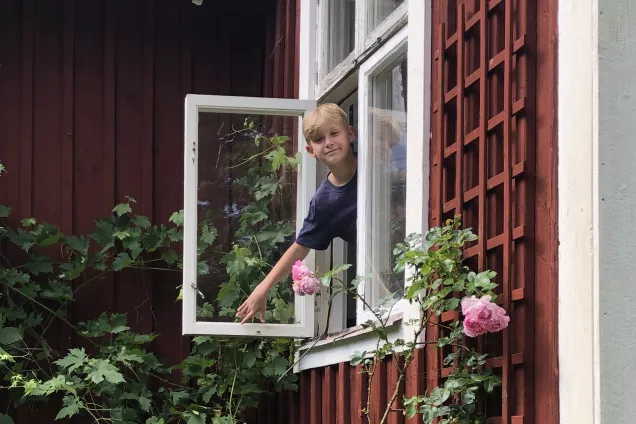 Liten pojke tittar ut genom ett stugfönster. Foto.