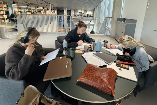 Studenter som pluggar vid ett runt bord. Foto.