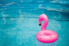 Uppblåsbar rosa flamingo i pool. Foto.