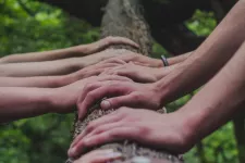 Åtta händer uppför en trädstam